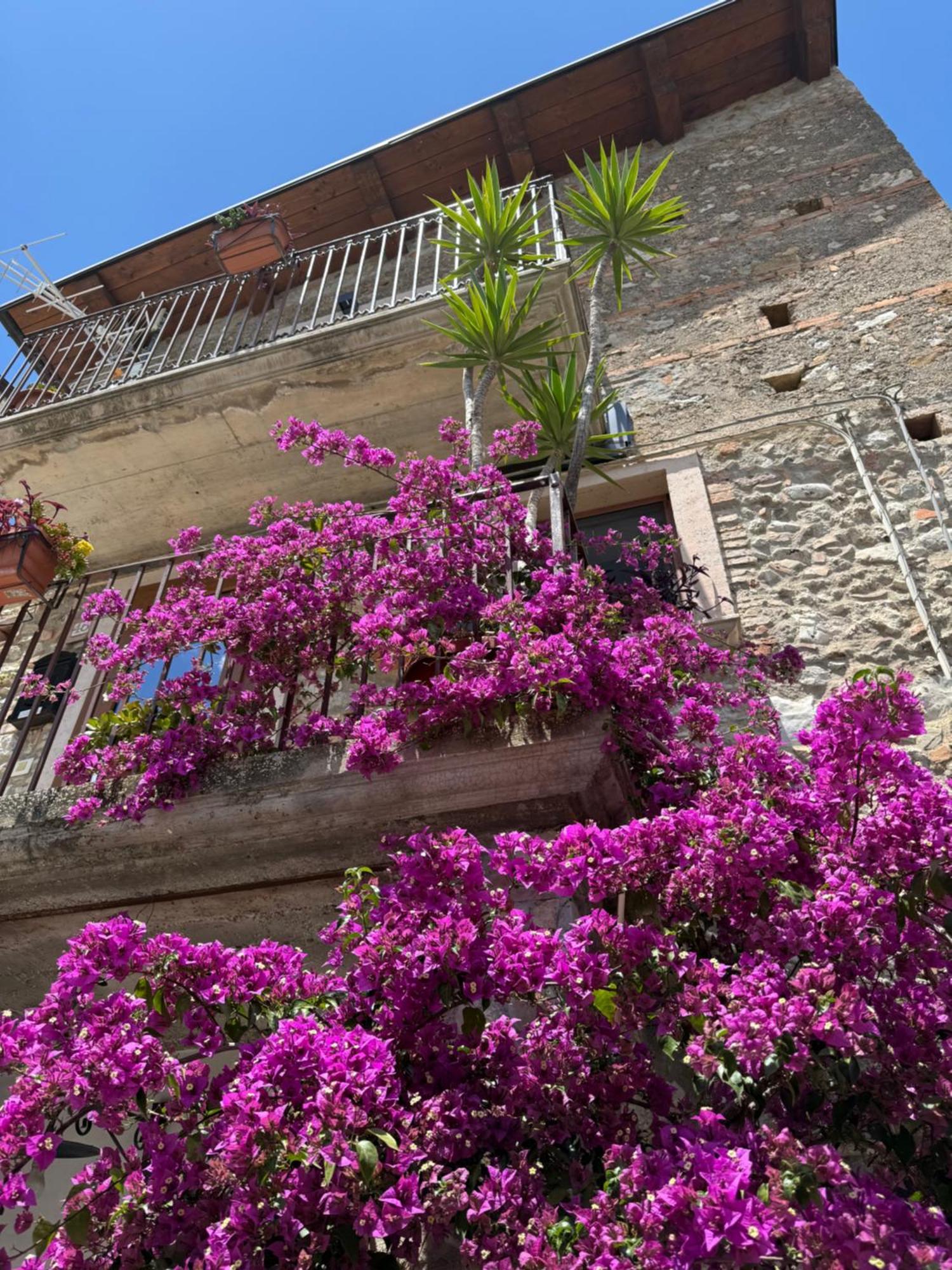 B&B Dhafna Civita Exterior photo